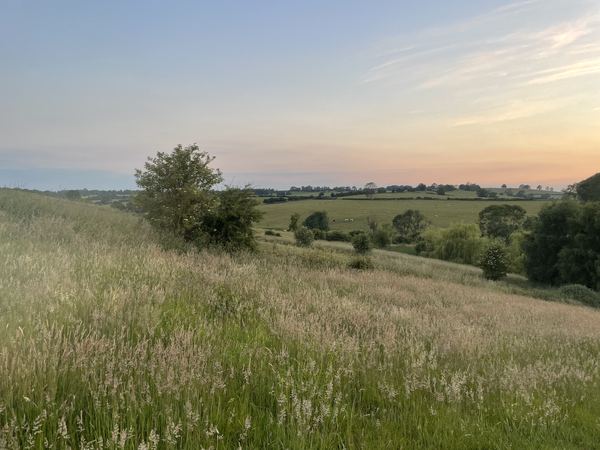 Valley View Campsite