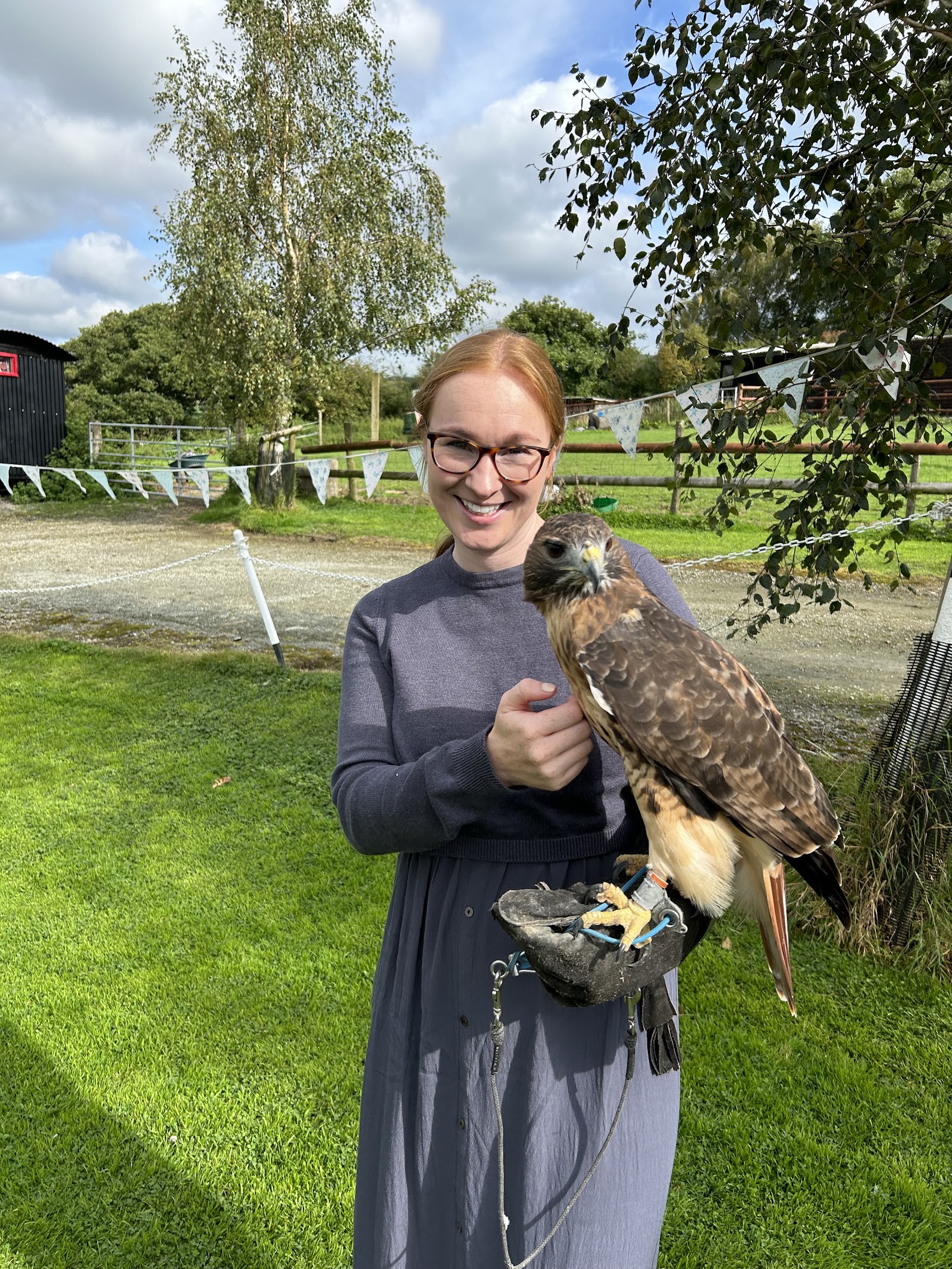 Valley View Falconry