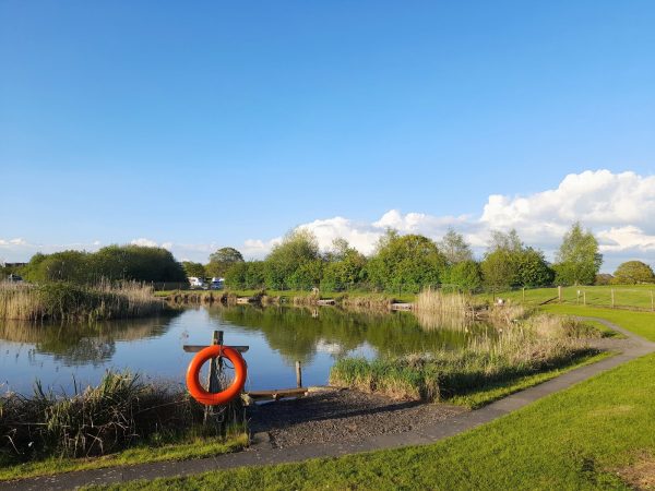 Wagtail Park