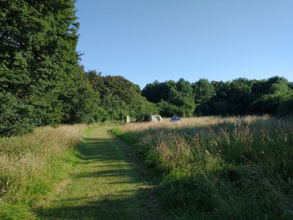 Waldegrave Farm