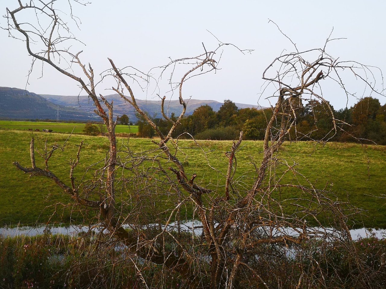 Wallace View Residential Park