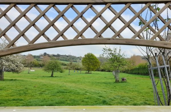 Walnut Barn Glamping
