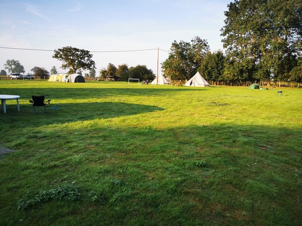 Walnut Tree Meadow Camping