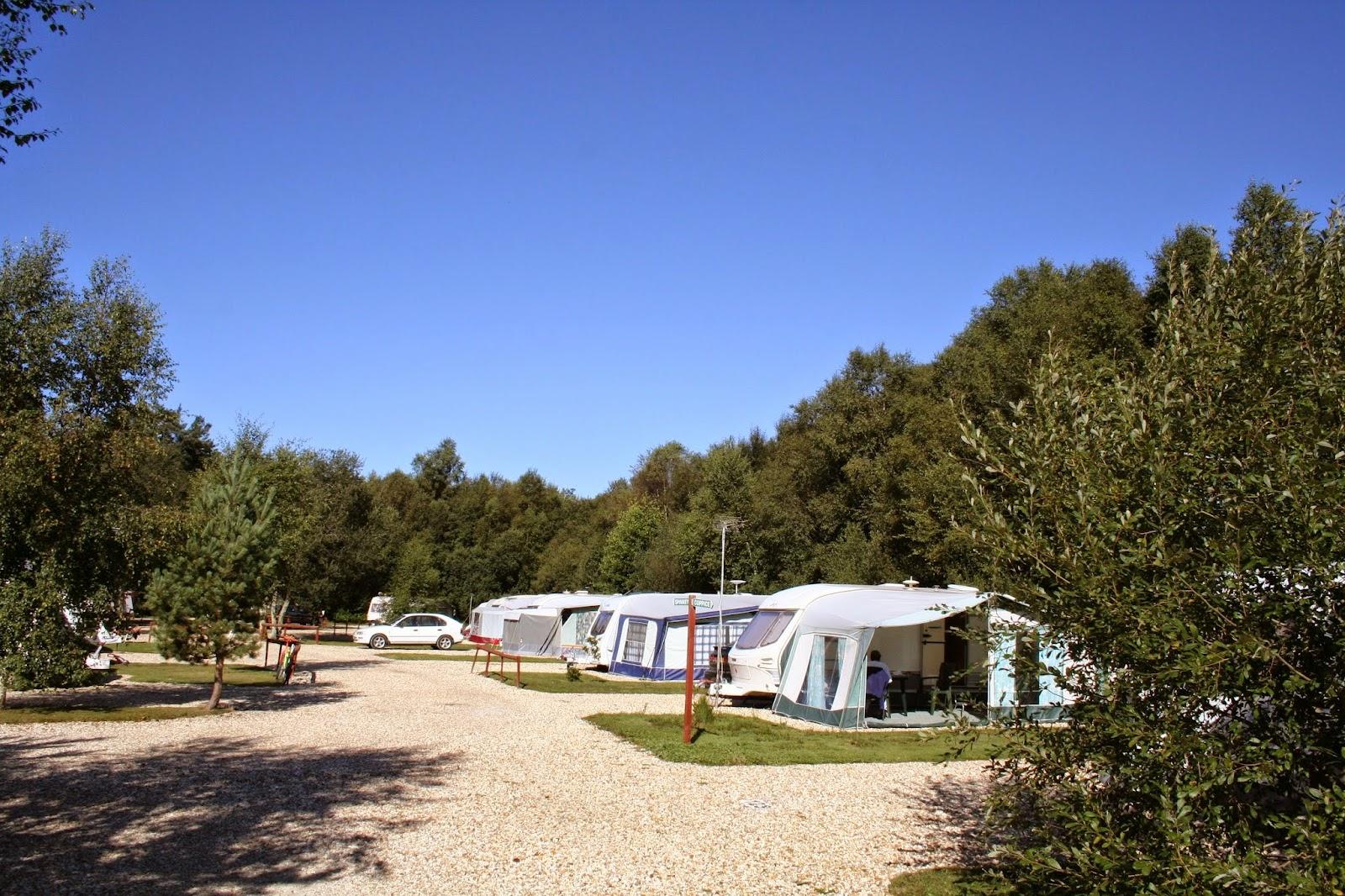 Wareham Forest Tourist Park