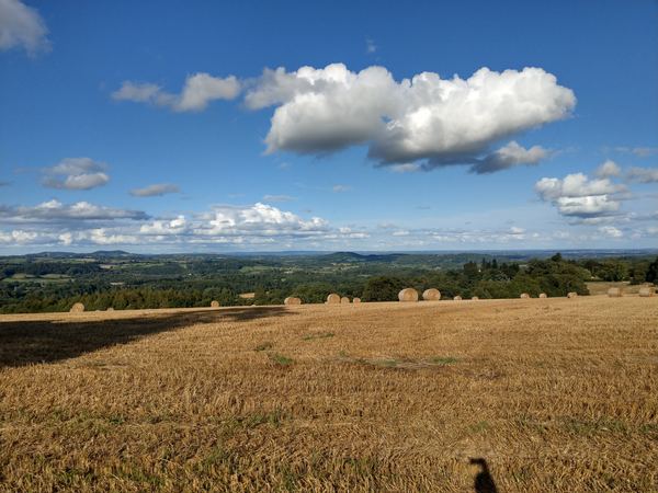 Warren Farm