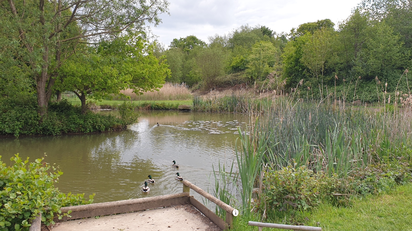 Wassell Grove Camping and Caravanning