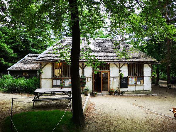 Wealderness