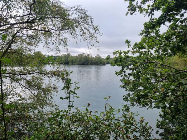 Wellington Country Park