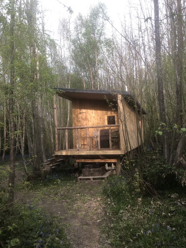 Welsummer Camping
