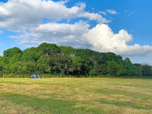 West End Farm Camping