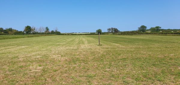 West End Field