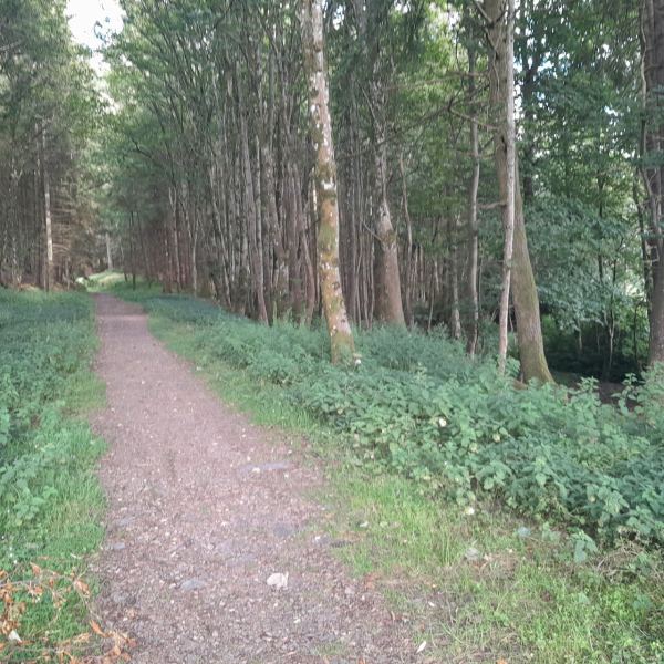 West Lodge Caravan Park