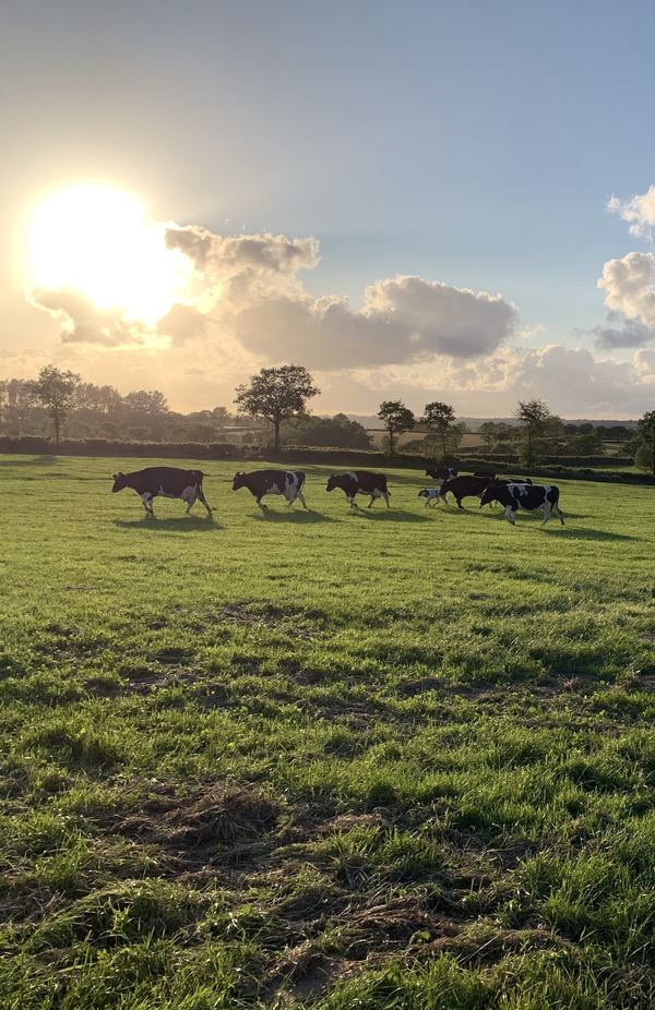 West Middlewick Farm