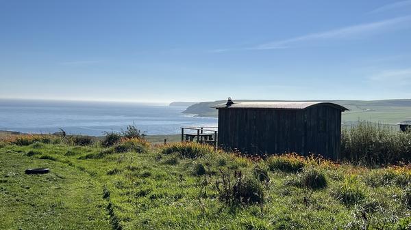 Wheems Organic Farm Campsite