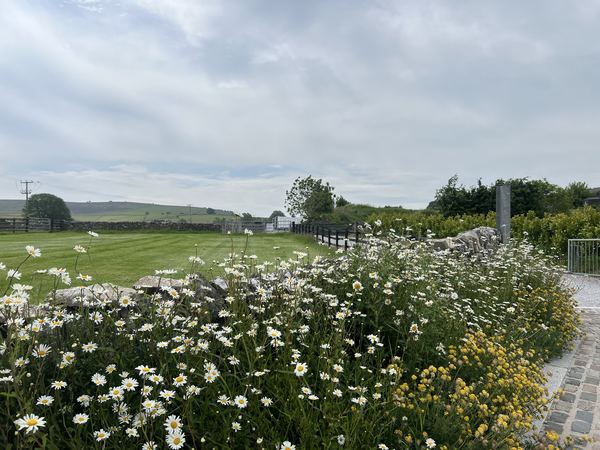 White House Farm Campsite