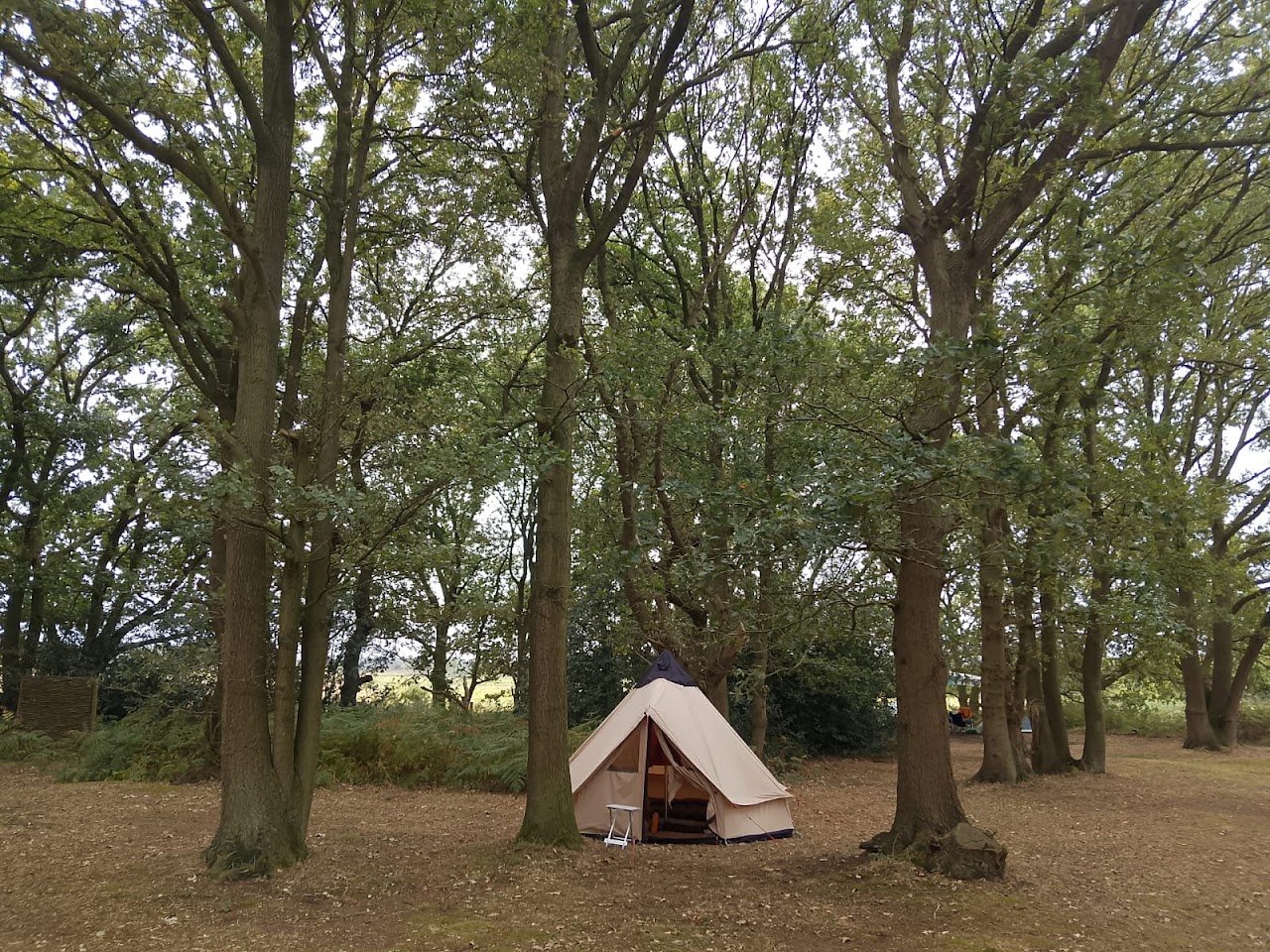 Wild Camping at Stepney Stays