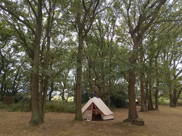 Wild Camping at Stepney Stays