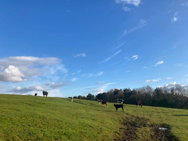 Wild Camping Northumberland