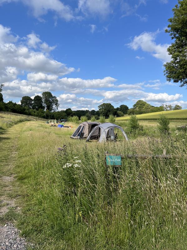 Wild Camping Wiltshire