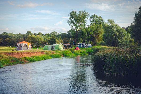 Wild Canvas Camping