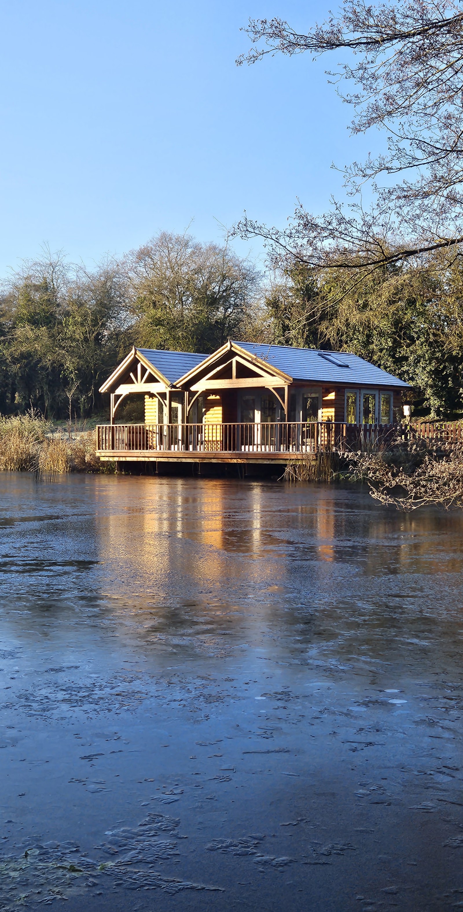 Wild Flowers Glamping