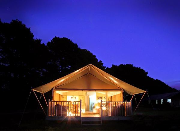 Wild Luxury