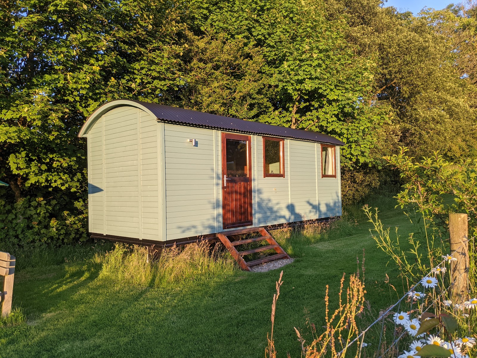Wild Meadow Camping