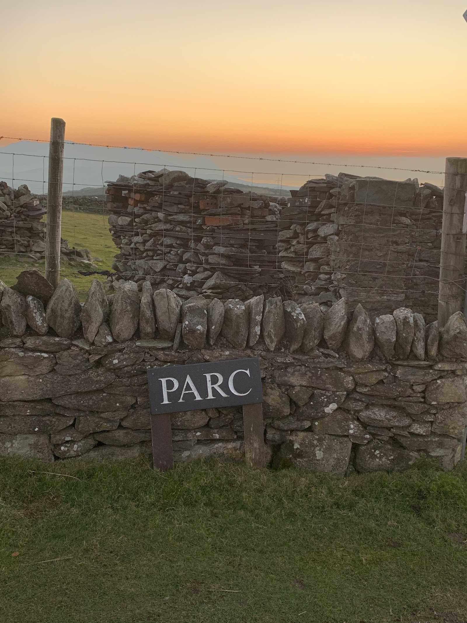 Wild Penllŷn Camping Field