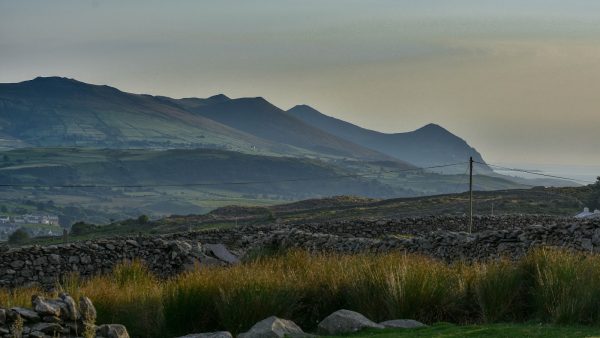 Wild Penllŷn Camping Field