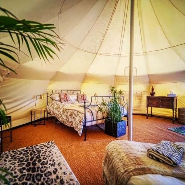 Wild Retreat