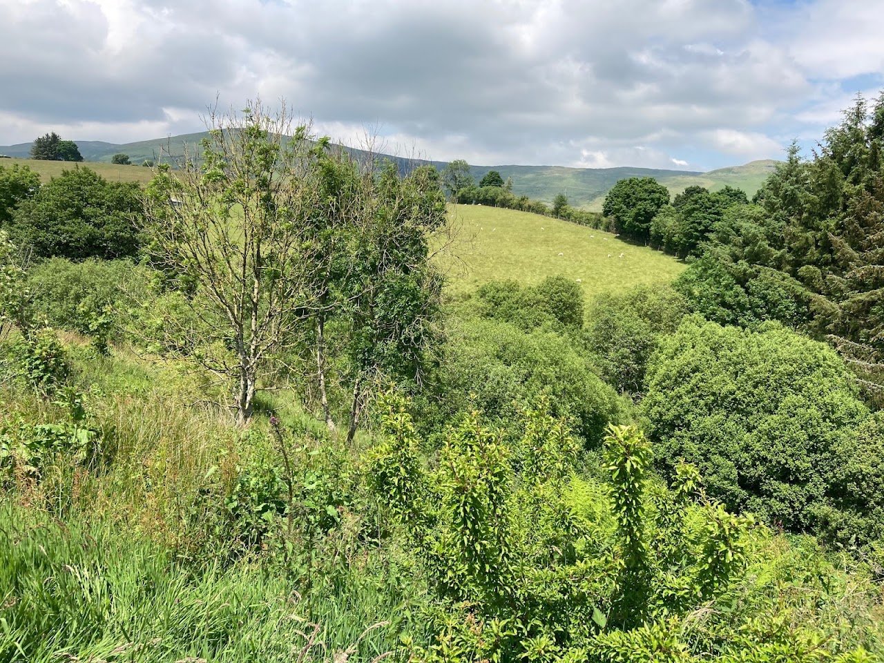 Wild Valley Huts