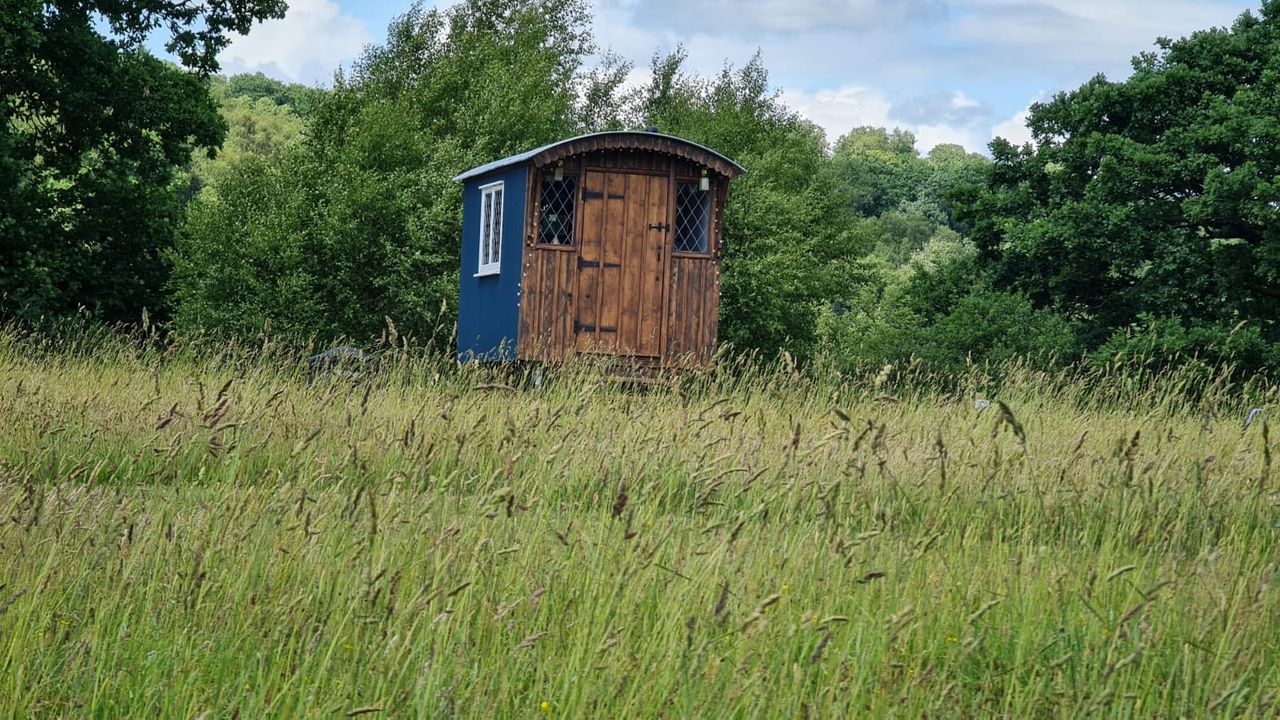 Wild Welsh Camping