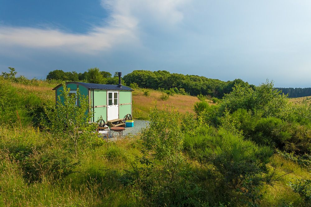 Wild Woodland Retreat