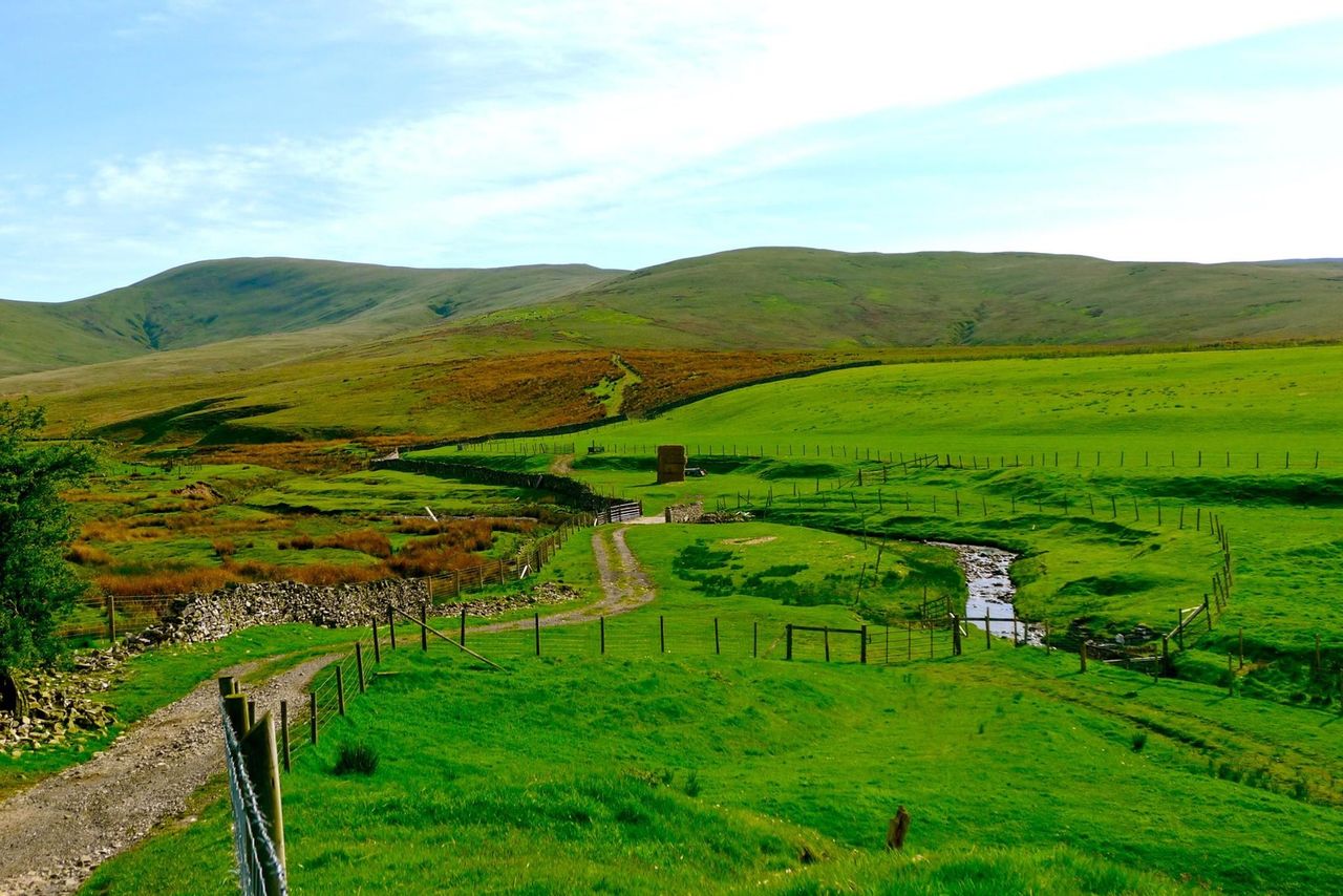 Wildscapes Retreat and Campsite