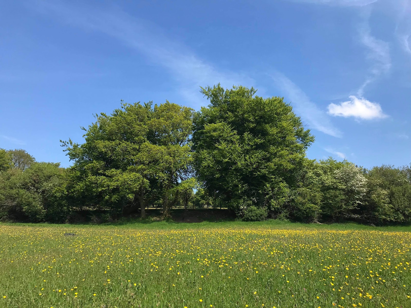 Willow Acres Campsite