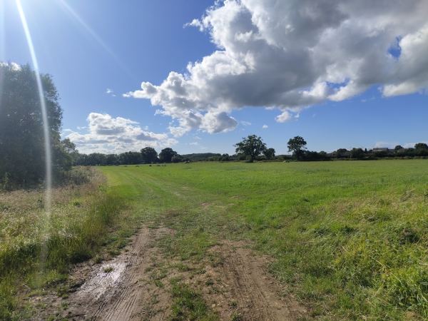Willowbank Farm