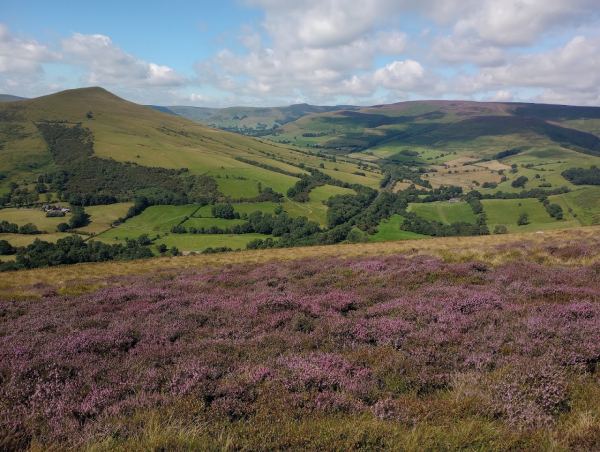 Winhill  View