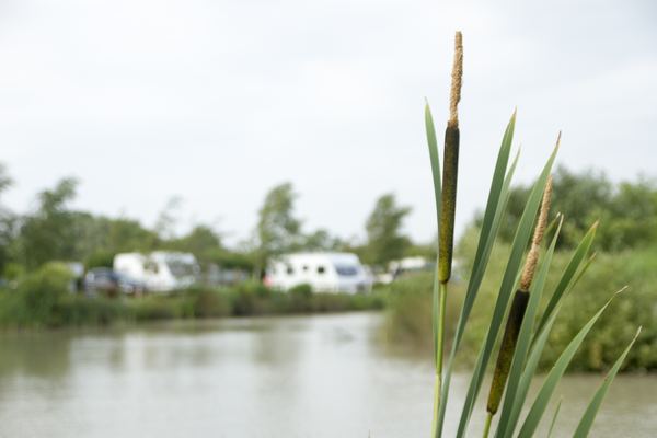 Withy Water Caravan and Camping Park