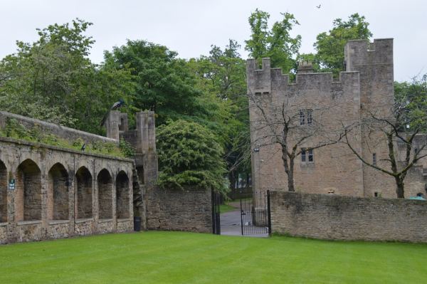 Witton Castle Country Park