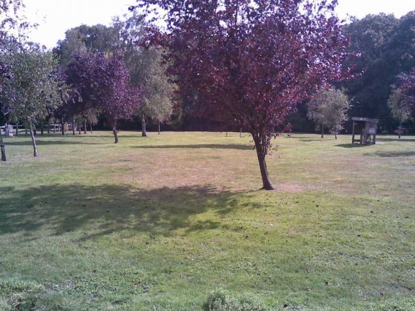 Woodland View Touring Park