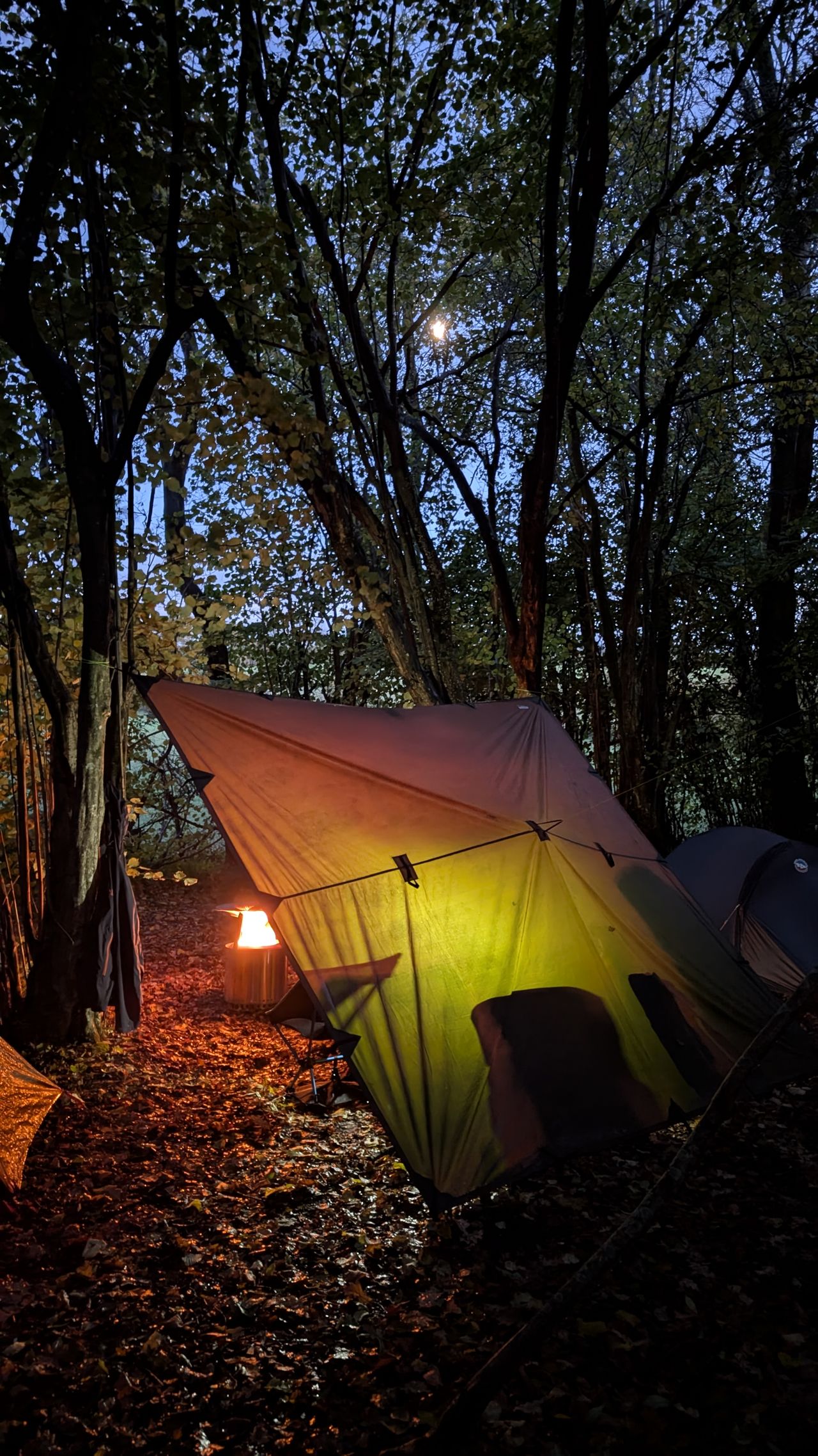Woodlands Camping