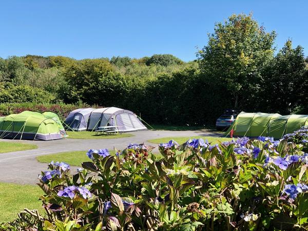 Woodlands Grove Caravan and Camping Park