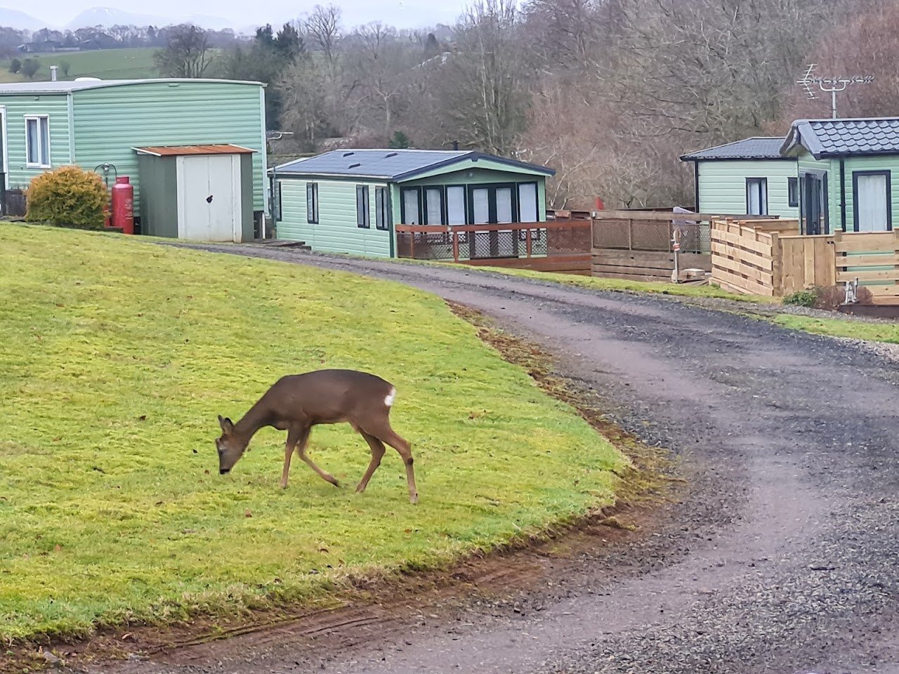 Woodside Caravan Park