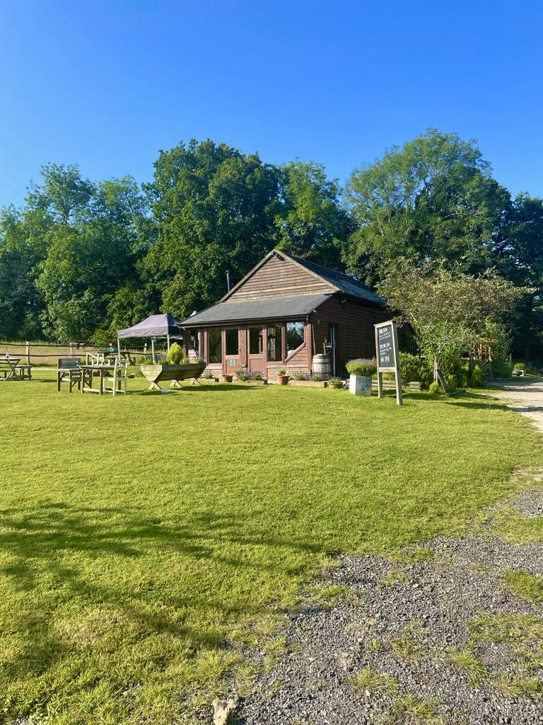 Yamp Camp Deer Park