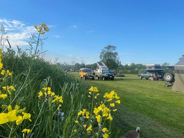 Yellowtail Camping