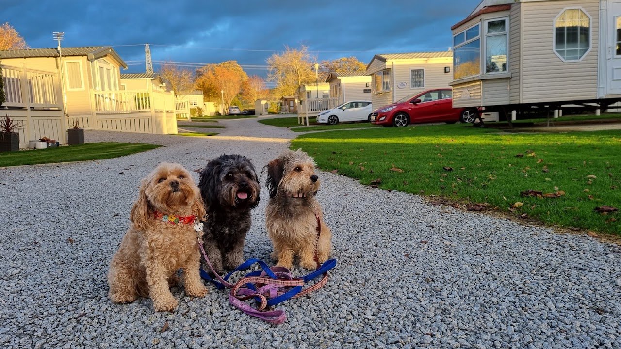 York House Holiday Park