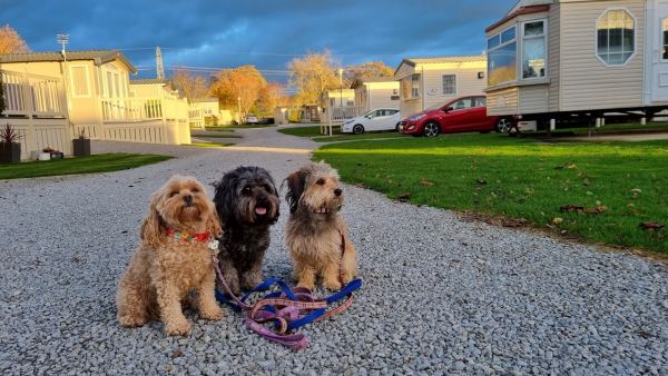York House Holiday Park