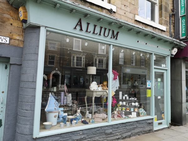 Allium