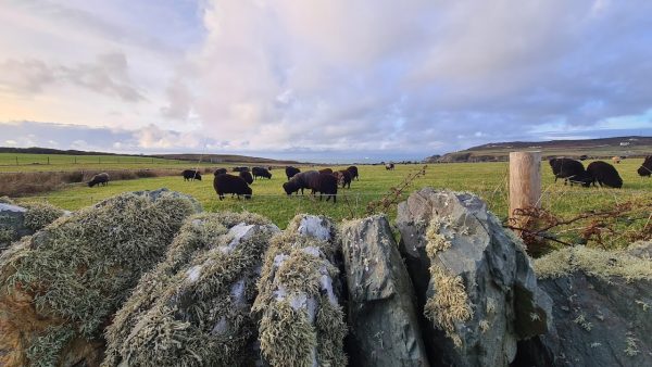 Anglesey Seaviews - Stack View Cottage