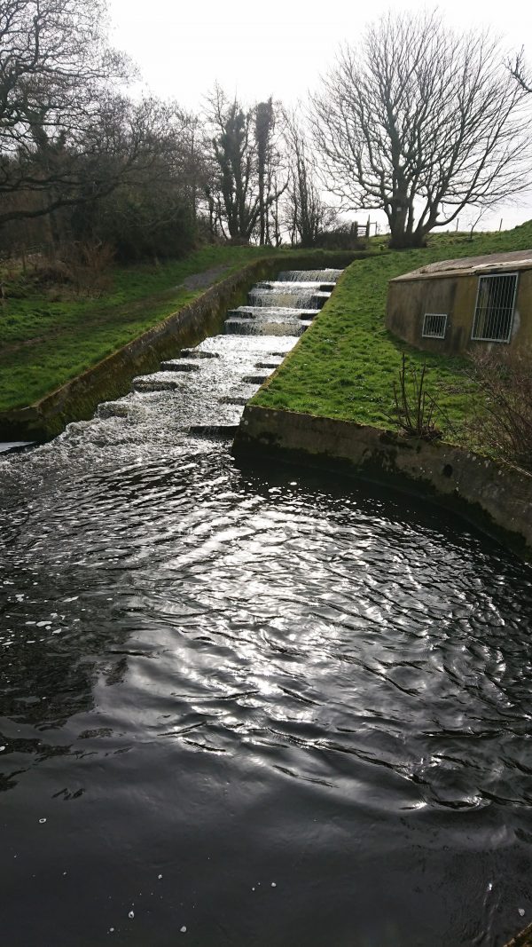 Ardwell Park